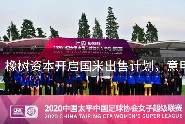 橡树资本开启国米出售计划，意甲豪门迎来新纪元